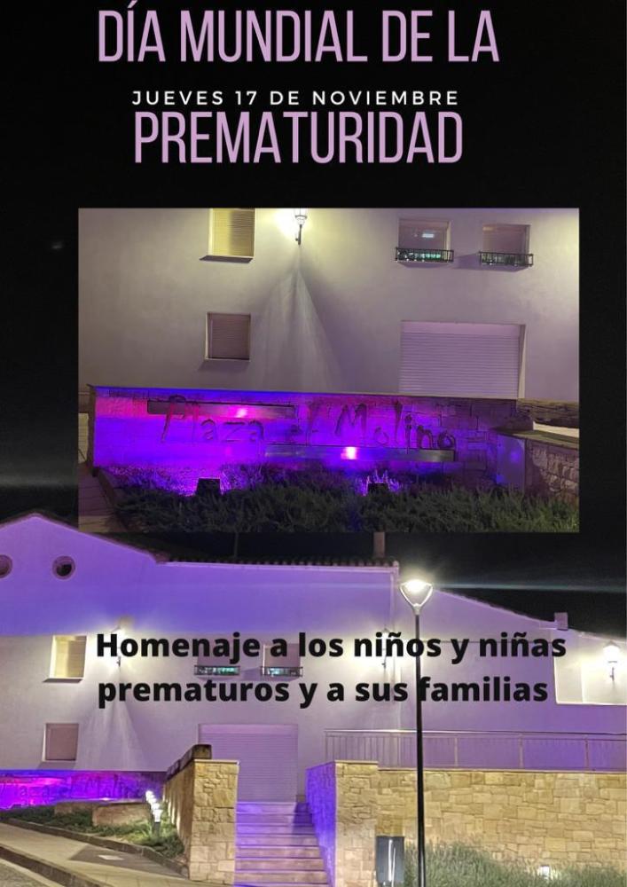 Imagen Homenaje a las familias con menores prematuros