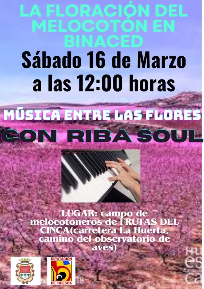 Imagen La Floración del Melocotón en Binaced