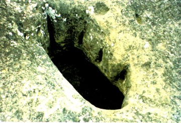 Imagen Cueva de Pins
