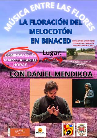 Imagen Concierto de la floración del melocotón