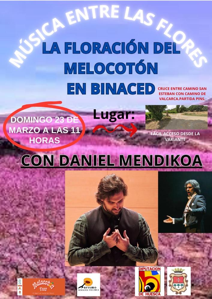 Imagen Concierto de la floración del melocotón