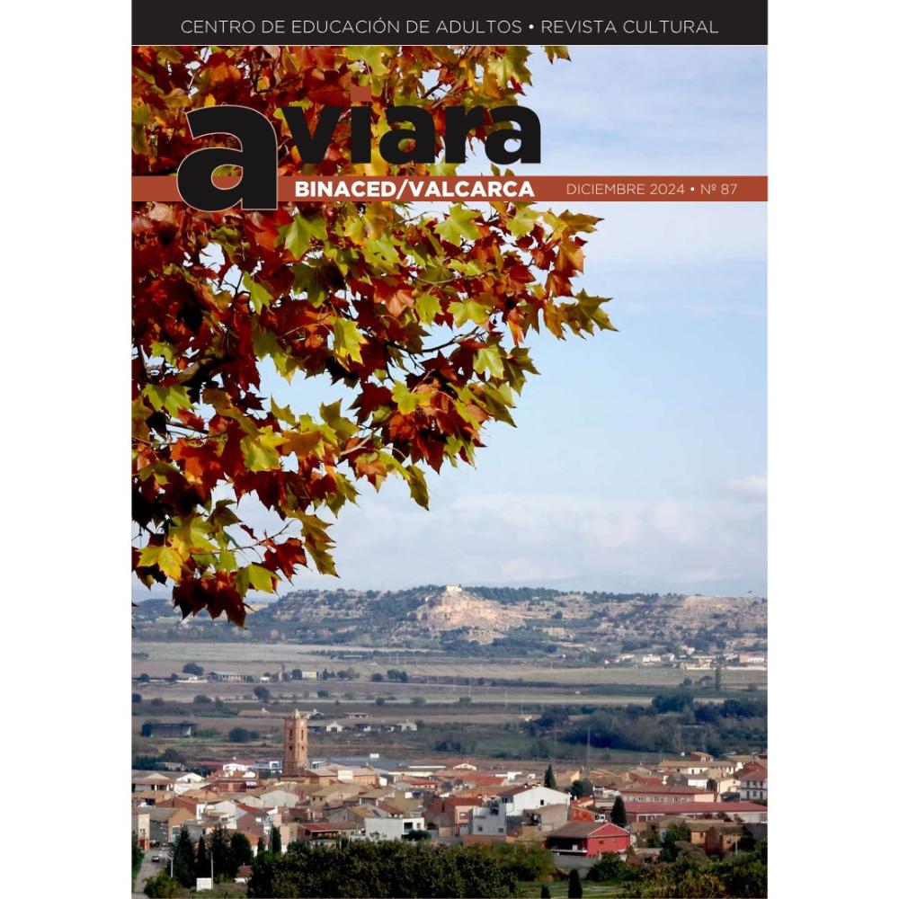 Imagen El Ayuntamiento de Binaced-Valcarca recibe de la DPH más de 5.000 euros del Plan de Concertación Municipal de Cultura