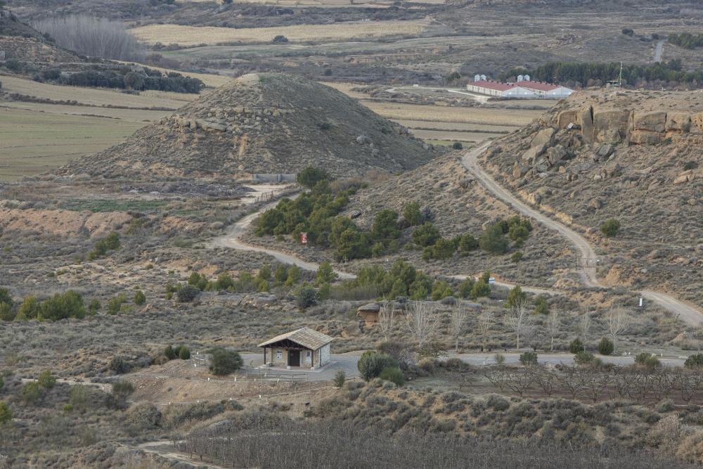 Imagen Observatorio de Aves